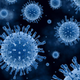 Illustration for article titled Viruses: The gift that keeps on giving